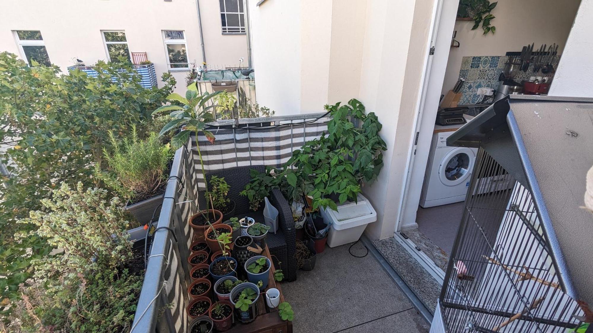 Apartamento Cosy Flat In Berlin'S Trendy Area Exterior foto